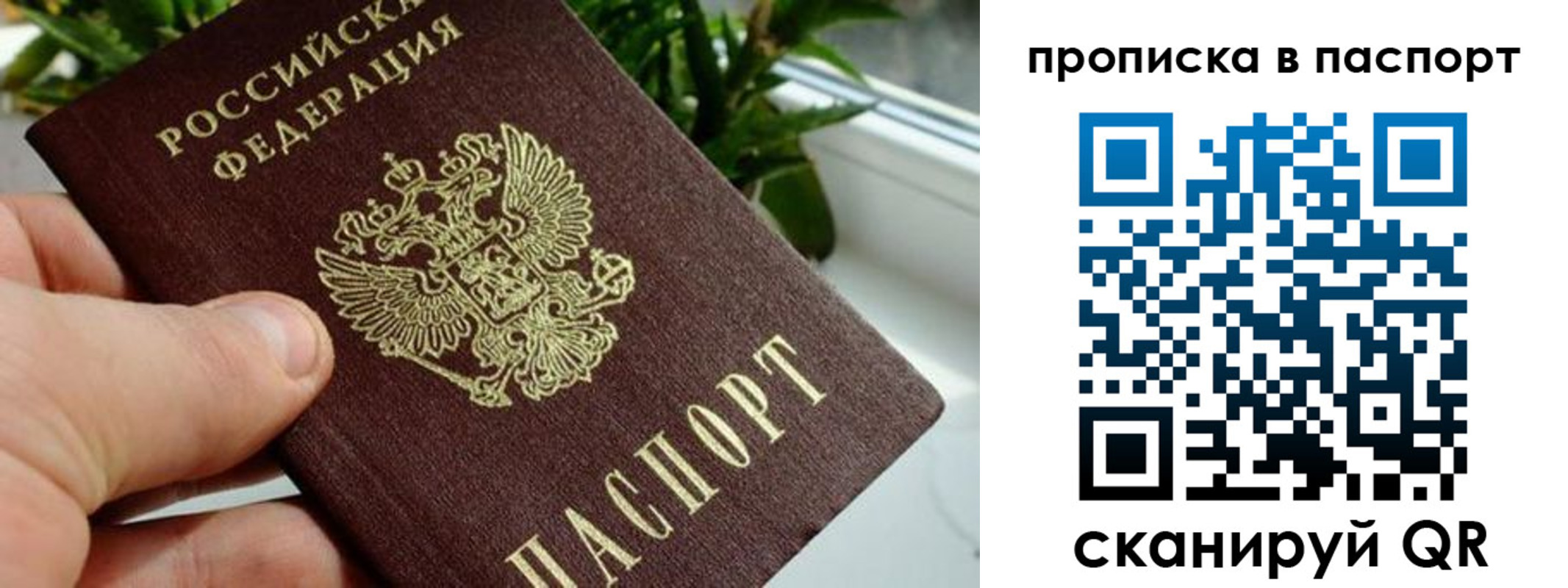 пропишу в квартире в Волоколамске